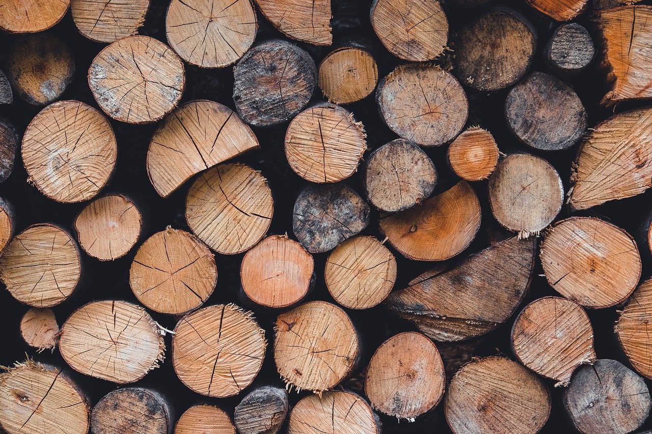 d&eacute;couvrez les principes de l'&eacute;conomie circulaire, un mod&egrave;le durable visant &agrave; r&eacute;duire les d&eacute;chets et optimiser l'utilisation des ressources pour un avenir respectueux de l'environnement.