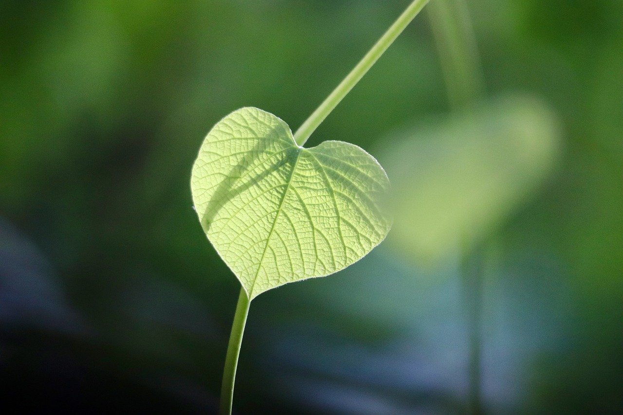 découvrez notre gamme de produits ménagers écologiques, sûrs pour votre santé et respectueux de l'environnement, pour un foyer propre et durable.