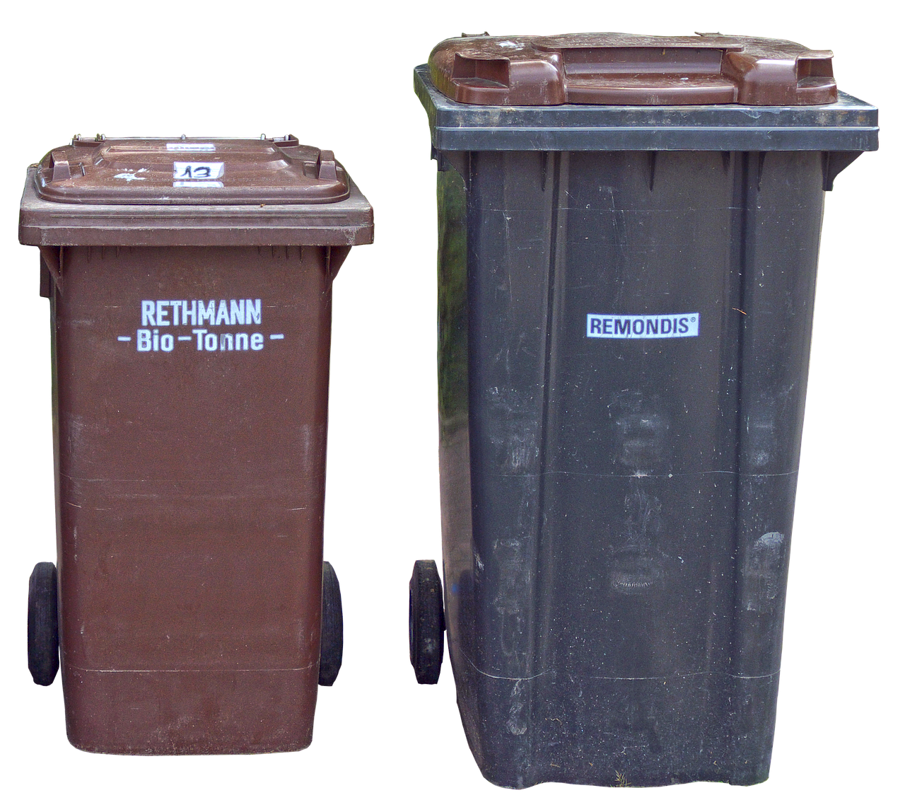 service de ramassage et d'élimination des déchets de jardin, pour un espace extérieur propre et bien entretenu toute l'année.