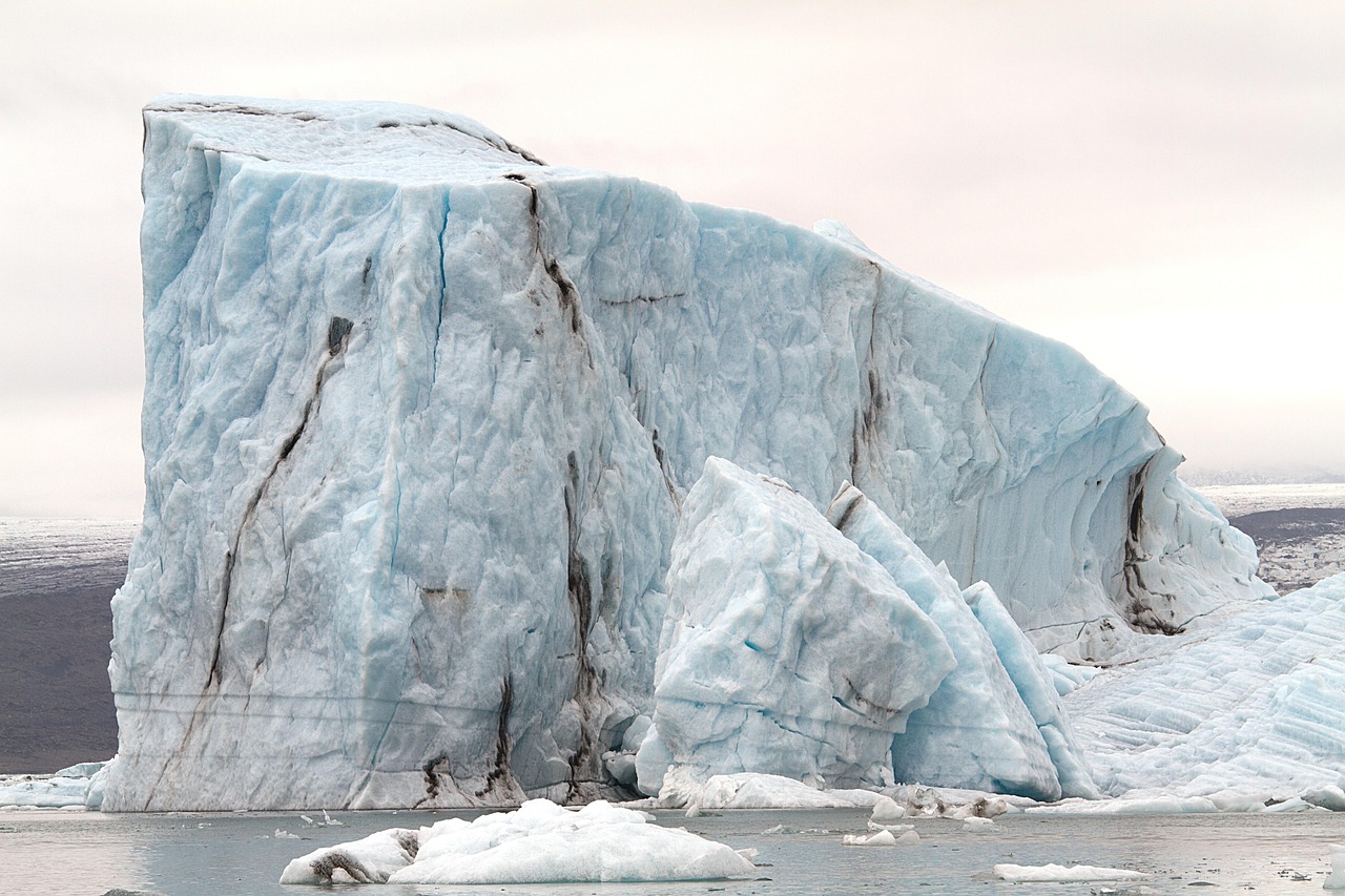 découvrez les glaciers, ces majestueuses masses de glace qui façonnent notre planète, leur formation, leur importance écologique et leur évolution face au changement climatique.
