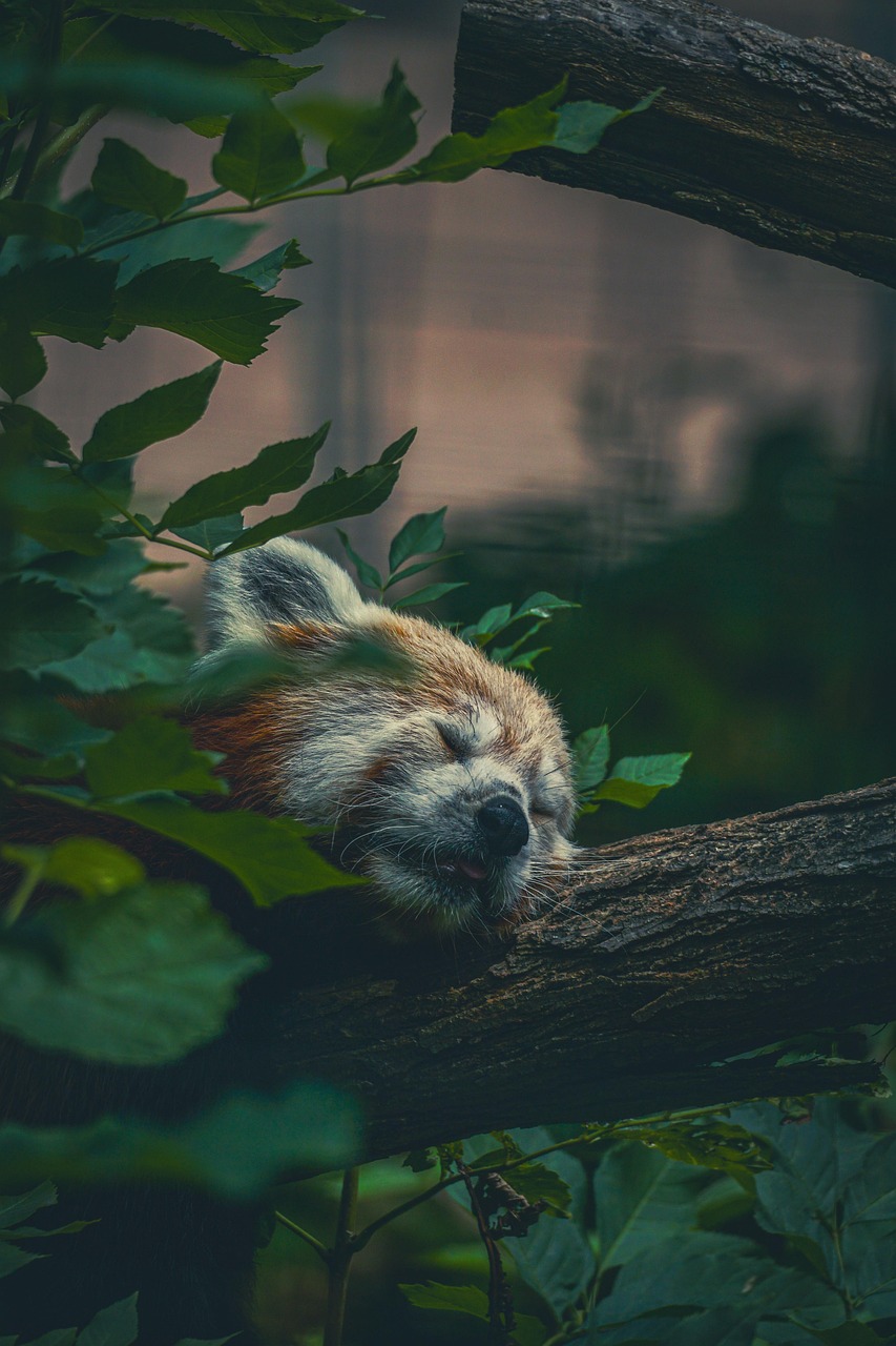 d&eacute;couvrez comment faire face &agrave; la canicule avec nos conseils pratiques pour rester au frais et bien hydrat&eacute; pendant les vagues de chaleur.