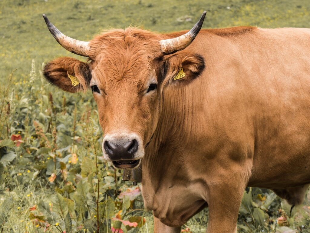 d&eacute;couvrez les derni&egrave;res tendances, techniques et innovations en agriculture pour une production durable et respectueuse de l'environnement.