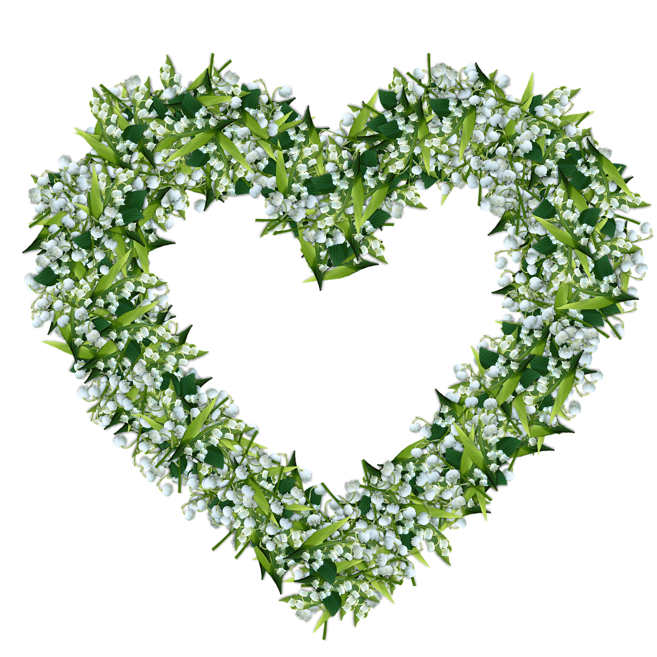 d&eacute;couvrez la d&eacute;licatesse du muguet, une fleur symbole de bonheur et de renouveau, parfaite pour &eacute;gayer votre jardin ou offrir en cadeau.