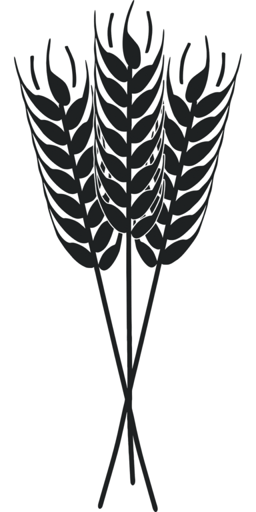 d&eacute;couvrez les pratiques d'agriculture durable pour pr&eacute;server les ressources naturelles, prot&eacute;ger l'environnement et promouvoir une production alimentaire responsable et &eacute;thique.