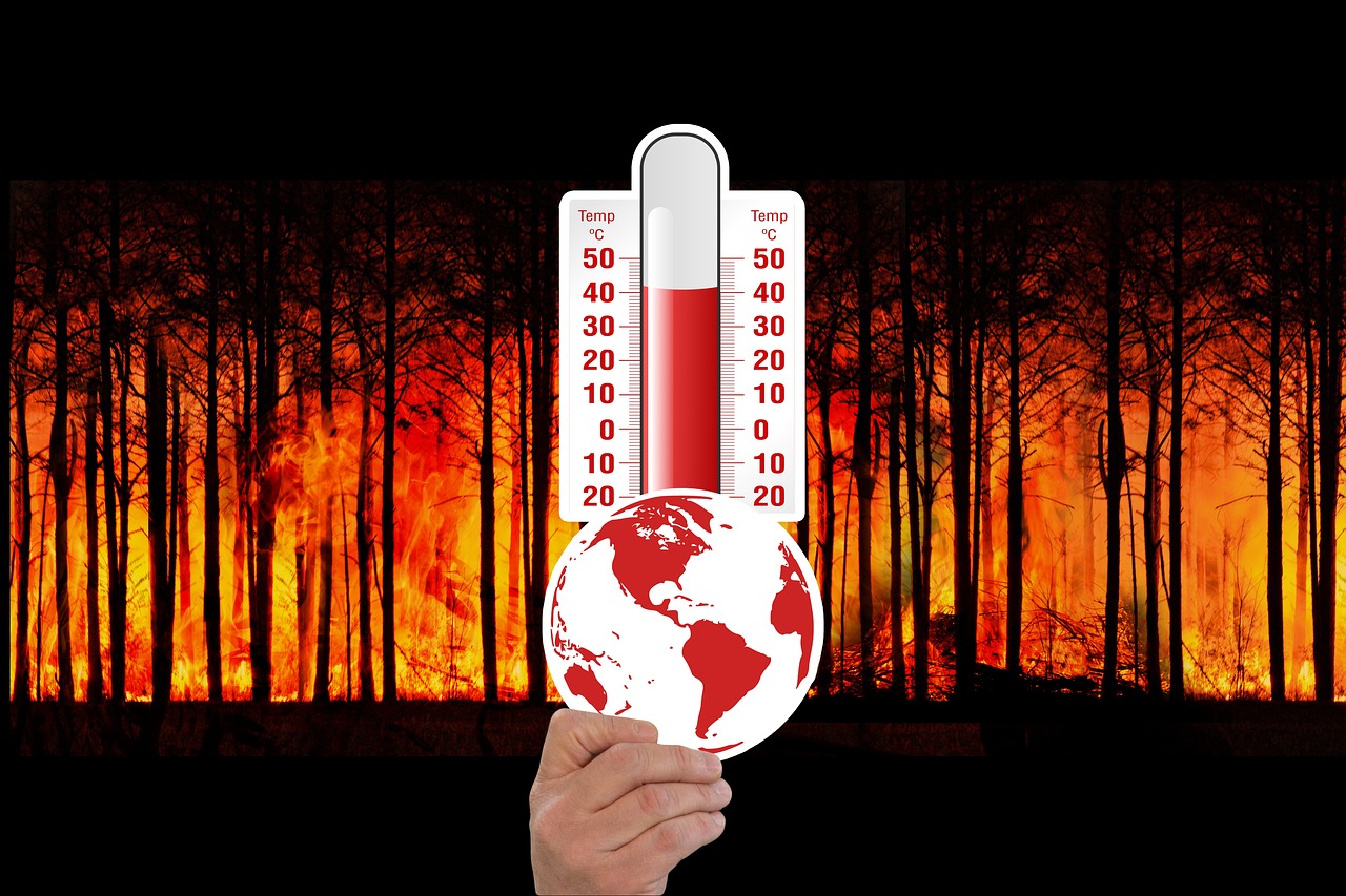 d&eacute;couvrez les strat&eacute;gies et solutions pour s'adapter aux impacts du changement climatique et prot&eacute;ger notre plan&egrave;te pour les g&eacute;n&eacute;rations futures.