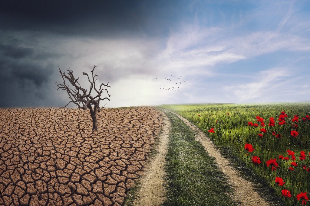 d&eacute;couvrez les strat&eacute;gies et solutions pour l'adaptation au changement climatique afin de prot&eacute;ger les communaut&eacute;s et les &eacute;cosyst&egrave;mes face aux impacts environnementaux.