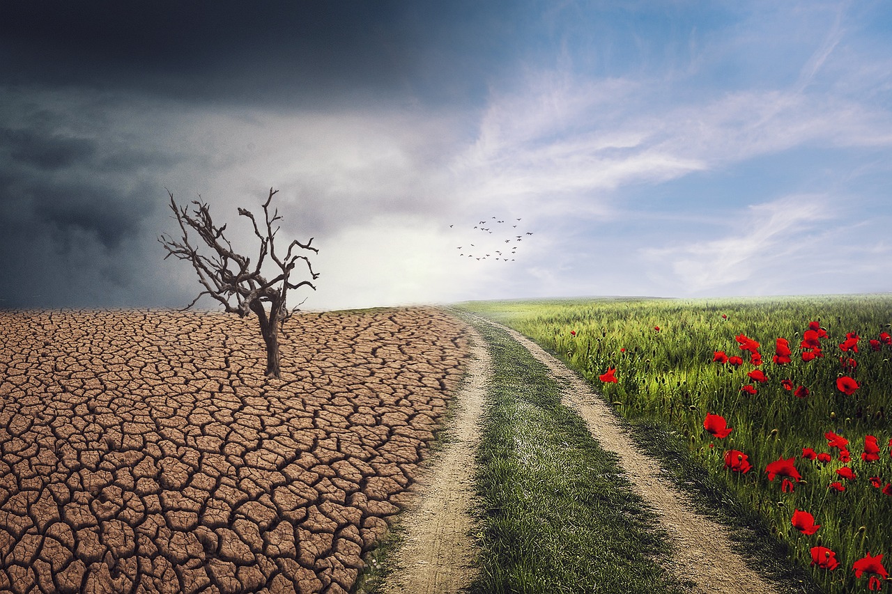 d&eacute;couvrez les strat&eacute;gies et solutions pour l'adaptation au changement climatique afin de prot&eacute;ger les communaut&eacute;s et les &eacute;cosyst&egrave;mes face aux impacts environnementaux.
