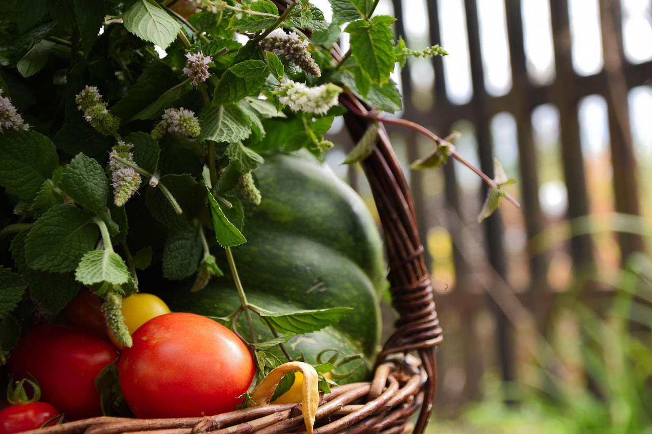 support pour tomates robuste et durable, id&eacute;al pour maintenir vos plants de tomate bien droits et favoriser une croissance optimale.